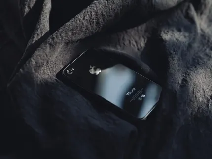 카지노 칫 챗 빙고 모바일 앱